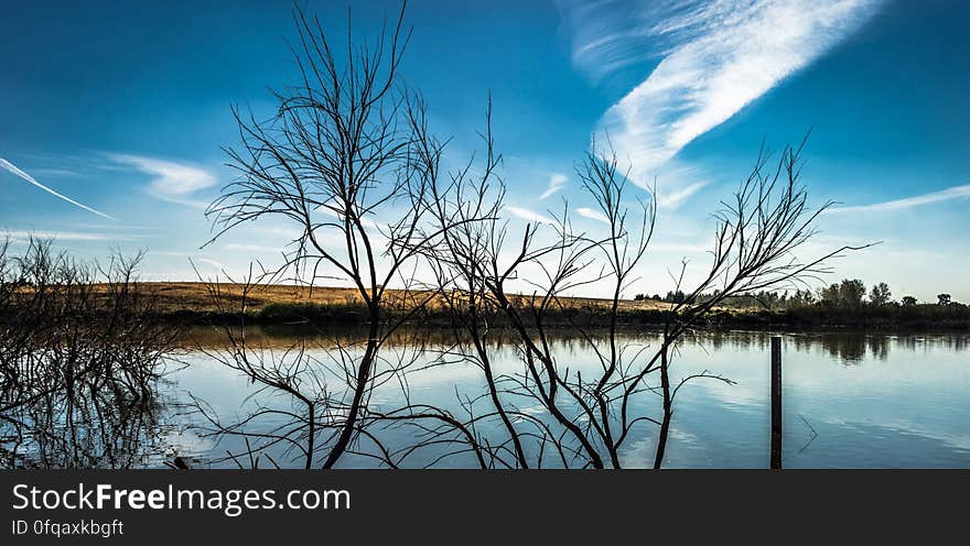 Still lake surface and leafless trees on the shore. Still lake surface and leafless trees on the shore.