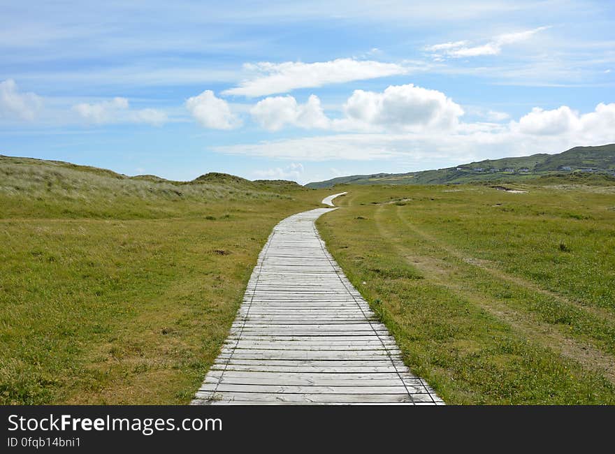 A boardwalk spanning across green fields. A boardwalk spanning across green fields.