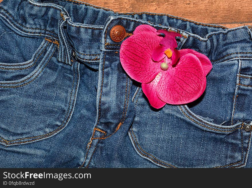 Pink Flower on Blue Jeans