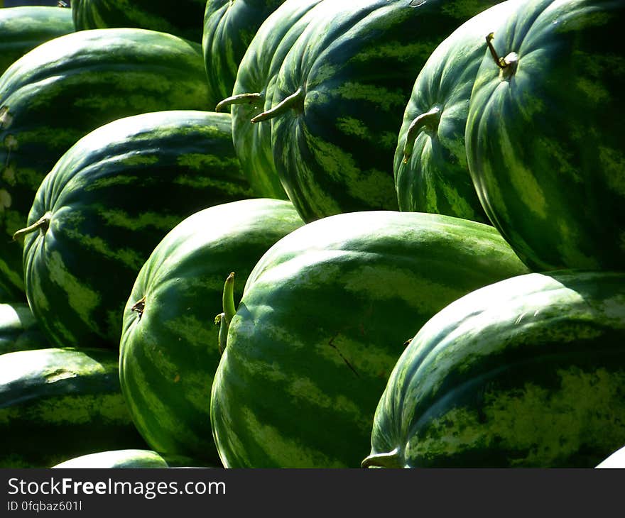 Green Piled Watermelon