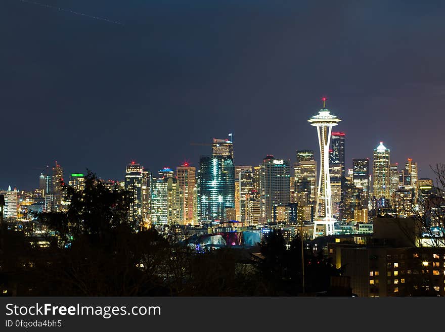 A panoramic view of Seattle by night.