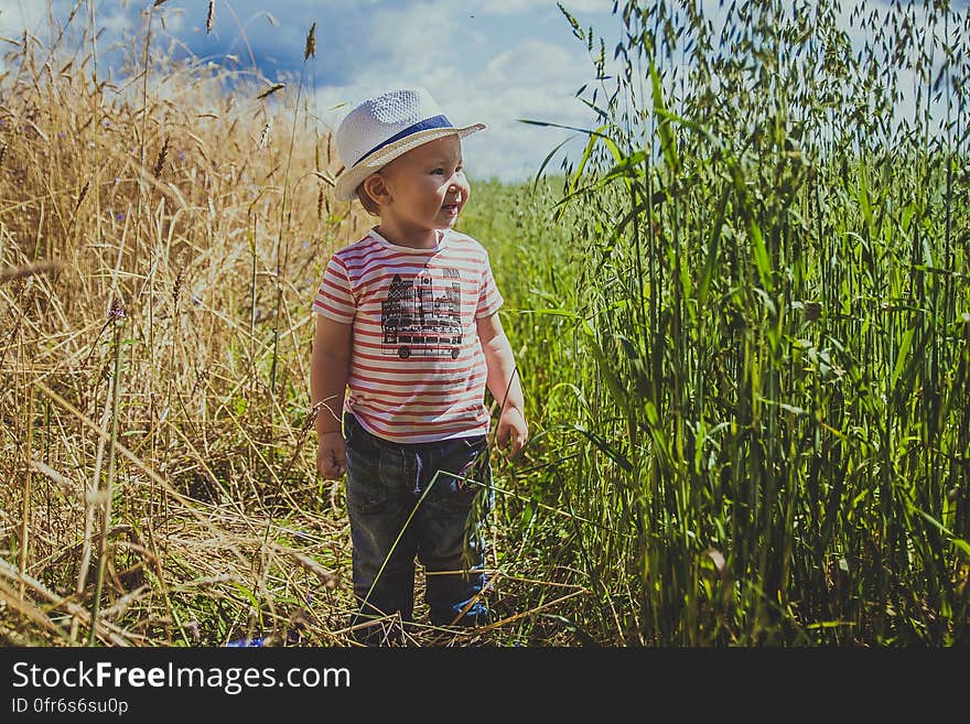 A young boy standing on a field in the summer. A young boy standing on a field in the summer.