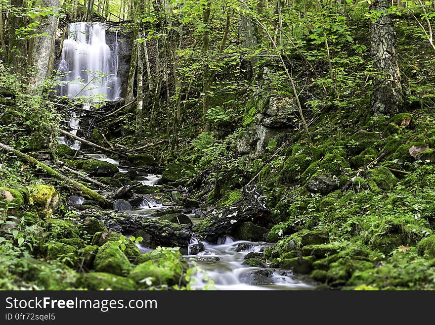 A waterfall and a small stream in a forest. A waterfall and a small stream in a forest.