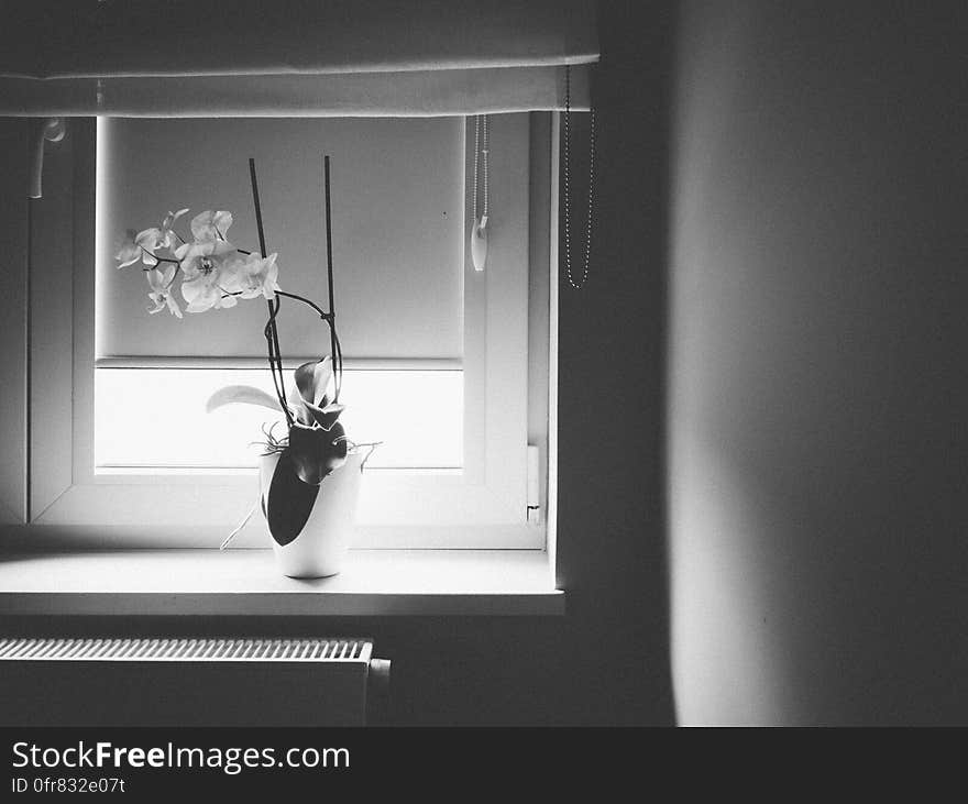 Grayscale Photography of Vase Near Window