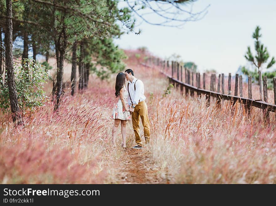 A couple kissing on a path leading through grassy fields. A couple kissing on a path leading through grassy fields.