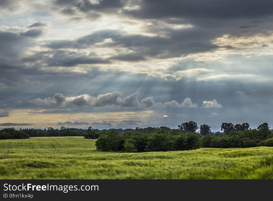 Sun Raise from the Sky over the Green Fields