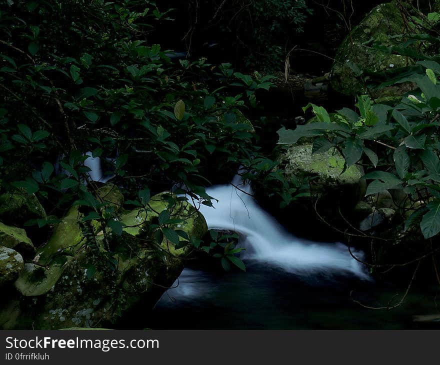 Waterfalls Near Green Leafed Plants