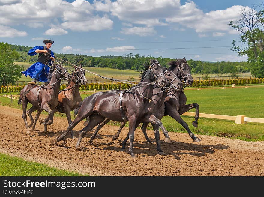 Person in Blue Dress Standing on 2 Horse Following 3 Horse during Daytime