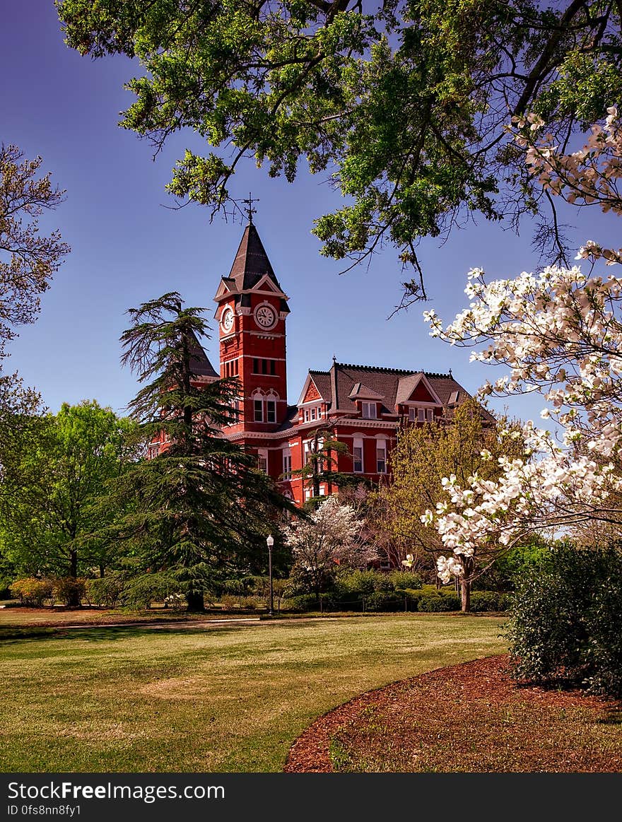 Brown Building Surrounded by Trees