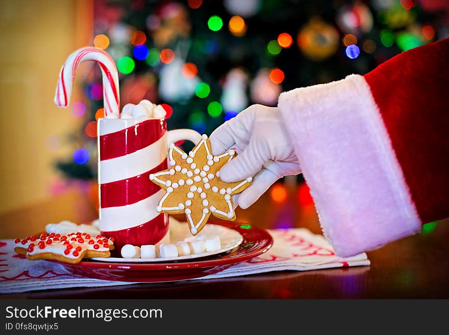 Hand of Santa Claus holding selection of traditional Christmas candy with tree in background. Hand of Santa Claus holding selection of traditional Christmas candy with tree in background.