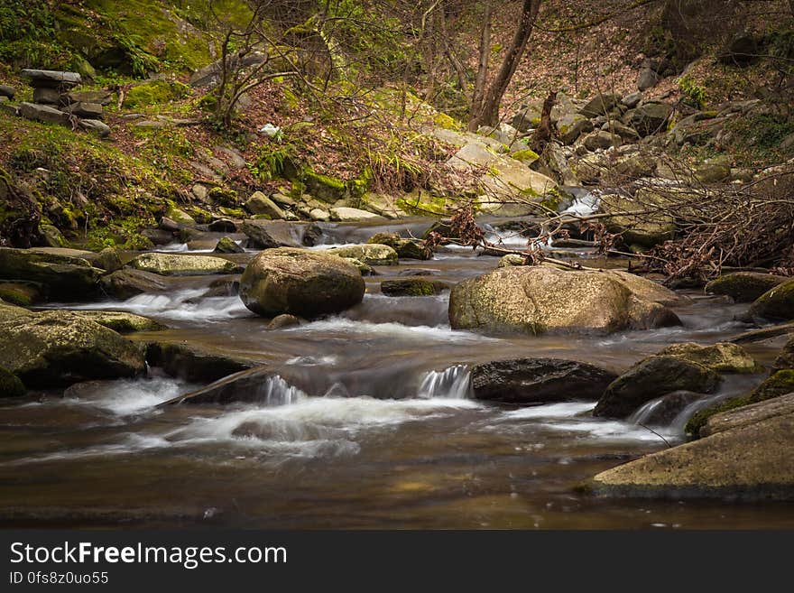 A cascading creek flowing through a forest. A cascading creek flowing through a forest.