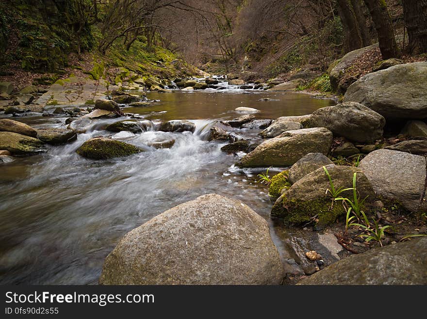 A creek with rapids in a forest. A creek with rapids in a forest.