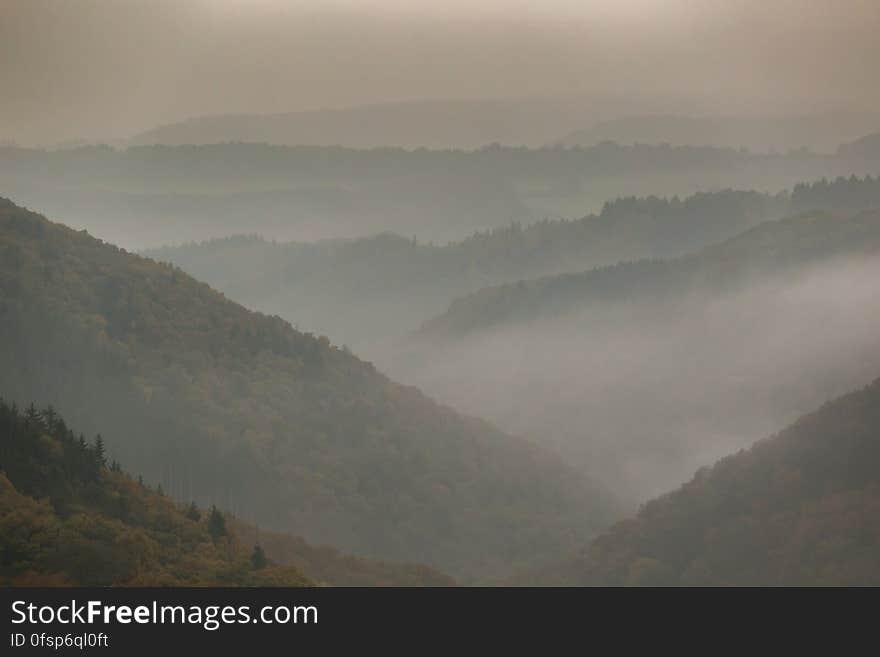 Foggy landscape