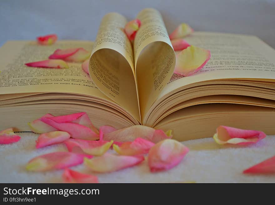 A close up of an open book with folded pages forming heart shape and rose petals around it. A close up of an open book with folded pages forming heart shape and rose petals around it.