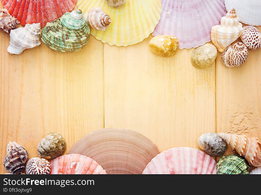 Rustic wooden planks bordered with colorful seashells with copy space. Rustic wooden planks bordered with colorful seashells with copy space.