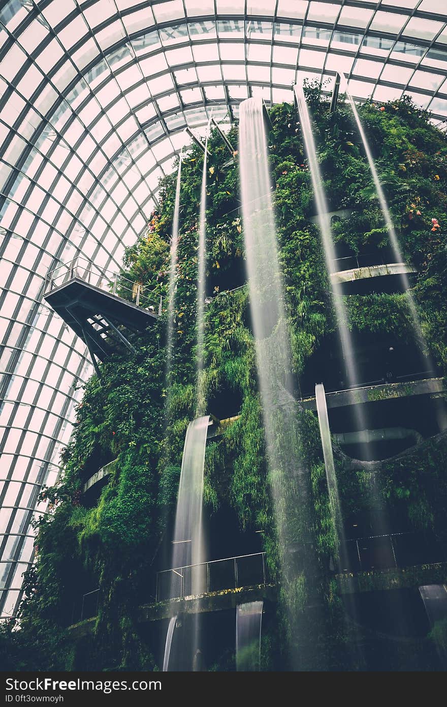 Waterfalls over lush greenery inside modern garden atrium in Singapore. Waterfalls over lush greenery inside modern garden atrium in Singapore.