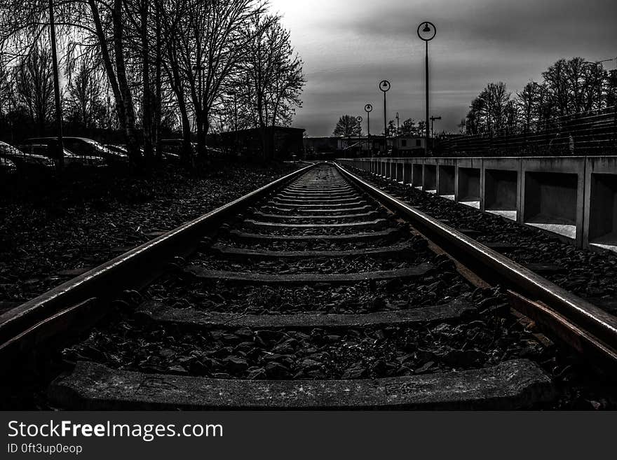 Railroad tracks with guard railing along tree line in black and white. Railroad tracks with guard railing along tree line in black and white.