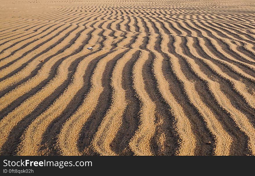 The sand on the Gulf of Finland near St. Petersburg. Russia. Summer 2016