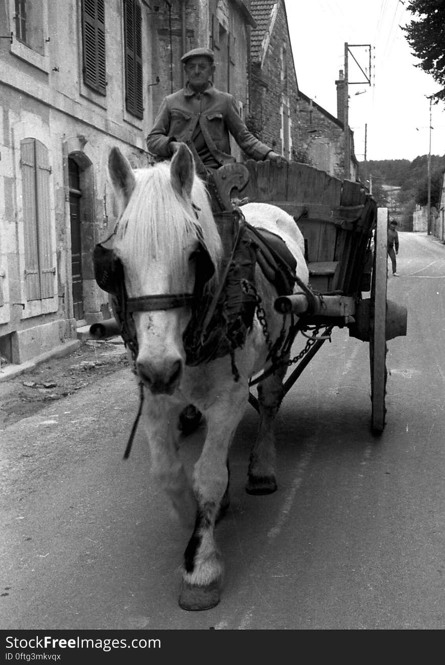 Some pictures of my campaign, usually made around 1995 of a forgotten life in Champagne. Some pictures of my campaign, usually made around 1995 of a forgotten life in Champagne.