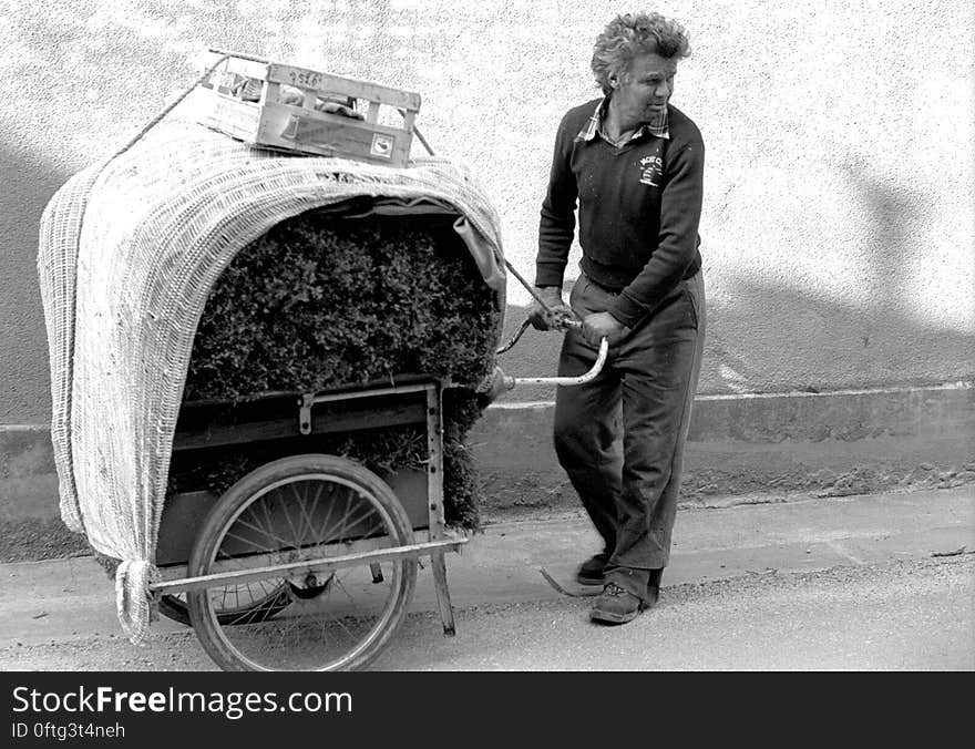 Some pictures of my campaign, usually made around 1995 of a forgotten life in Champagne. Some pictures of my campaign, usually made around 1995 of a forgotten life in Champagne.