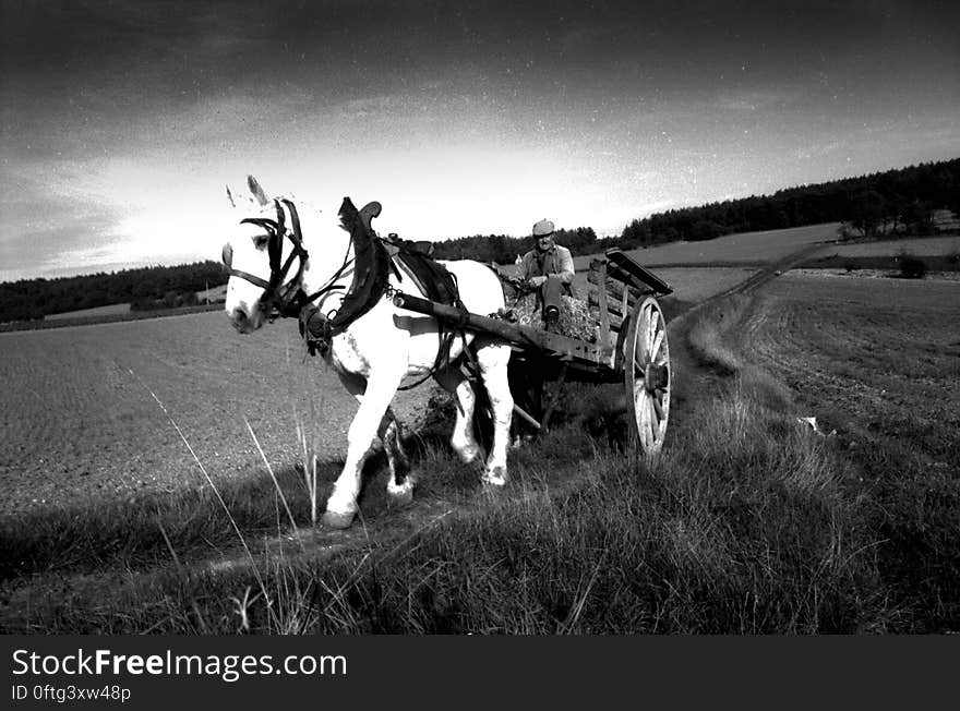 Some pictures of my campaign, usually made around 1995 of a forgotten life in Champagne. Some pictures of my campaign, usually made around 1995 of a forgotten life in Champagne.