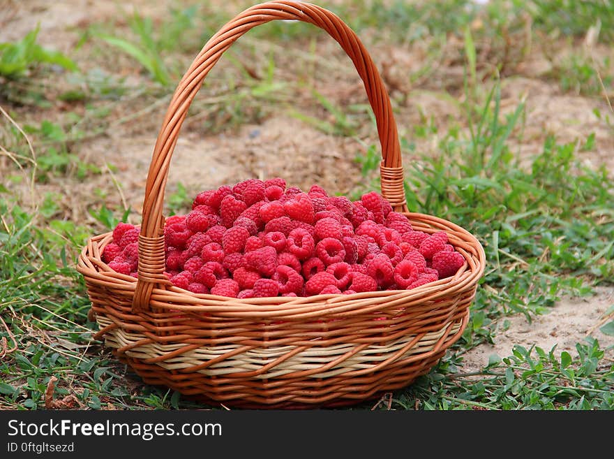 A wicker basket full of raspberries on green grass. A wicker basket full of raspberries on green grass.