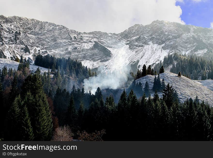 A mountain landscape with snowy slopes and green conifer forest.