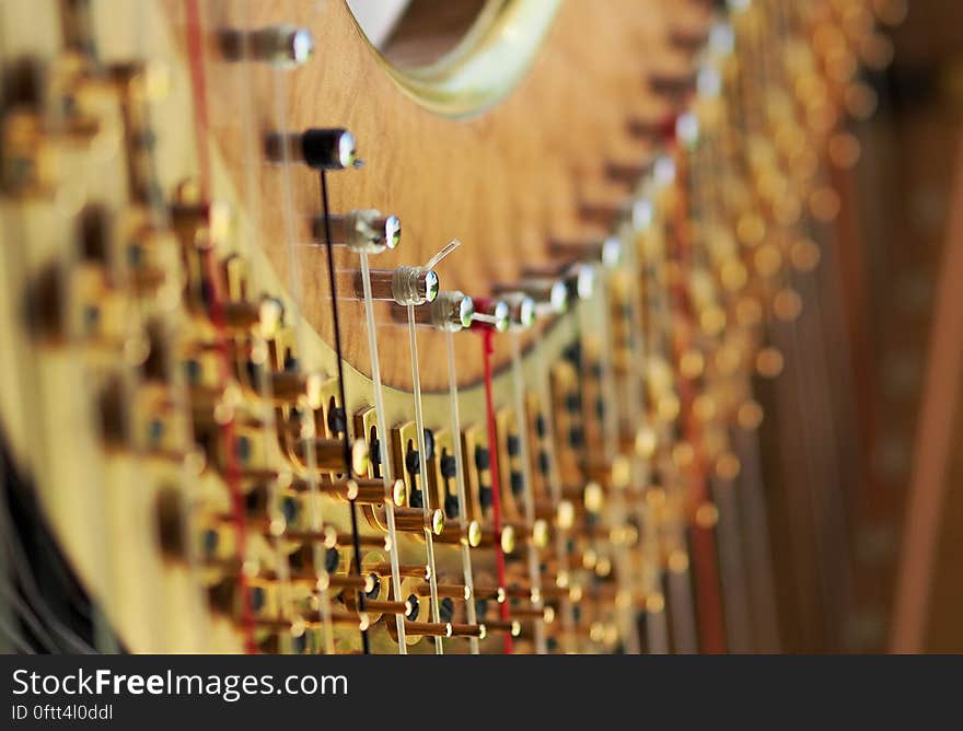 A close up of the strings and tuning pins of a modern concert harp.