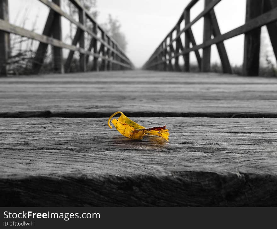 Closeup of a yellow leaf on an old grainy wooden bridge seen in monochrome with railings on left and right. Closeup of a yellow leaf on an old grainy wooden bridge seen in monochrome with railings on left and right.