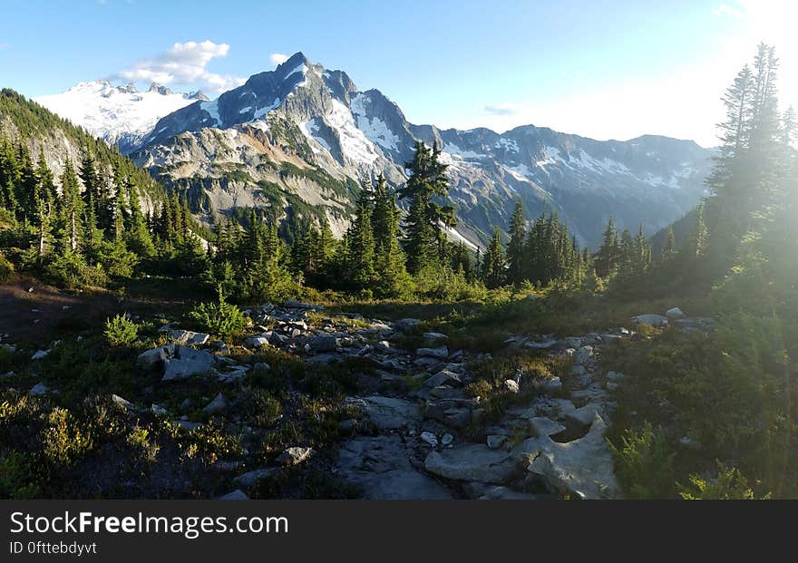 Mountain peak and evergreen forest in the bottom.