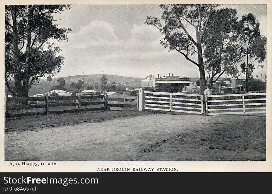 Near Drouin Railway Station, Victoria - 1911