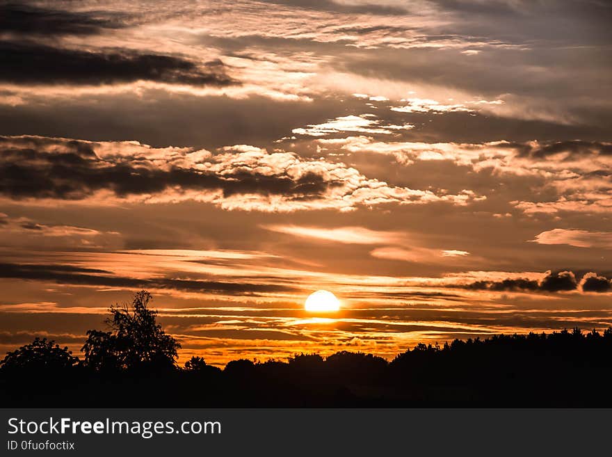 Silhouette of trees on country landscape at sunset with orange cloudy skies. Silhouette of trees on country landscape at sunset with orange cloudy skies.