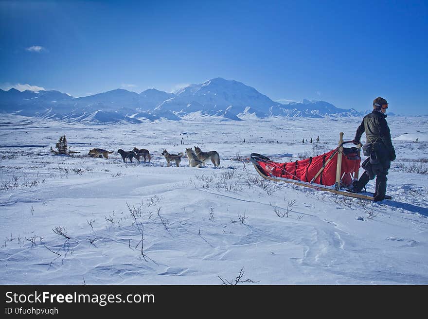 A person with a dog sled in the snowy fields with mountains in the distance. A person with a dog sled in the snowy fields with mountains in the distance.