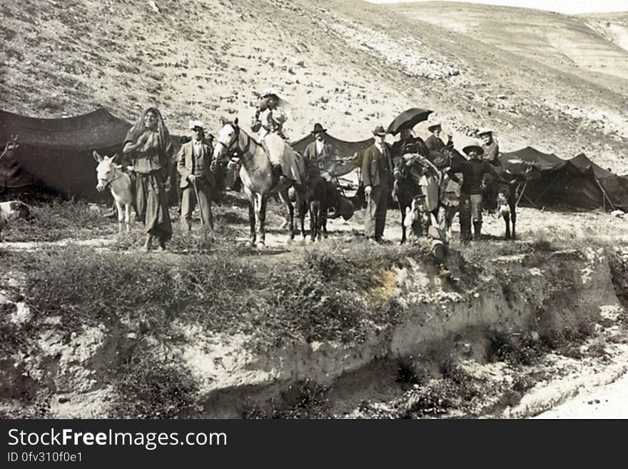 Horse, Plant, Mountain, Working animal, Mammal, Outdoor recreation