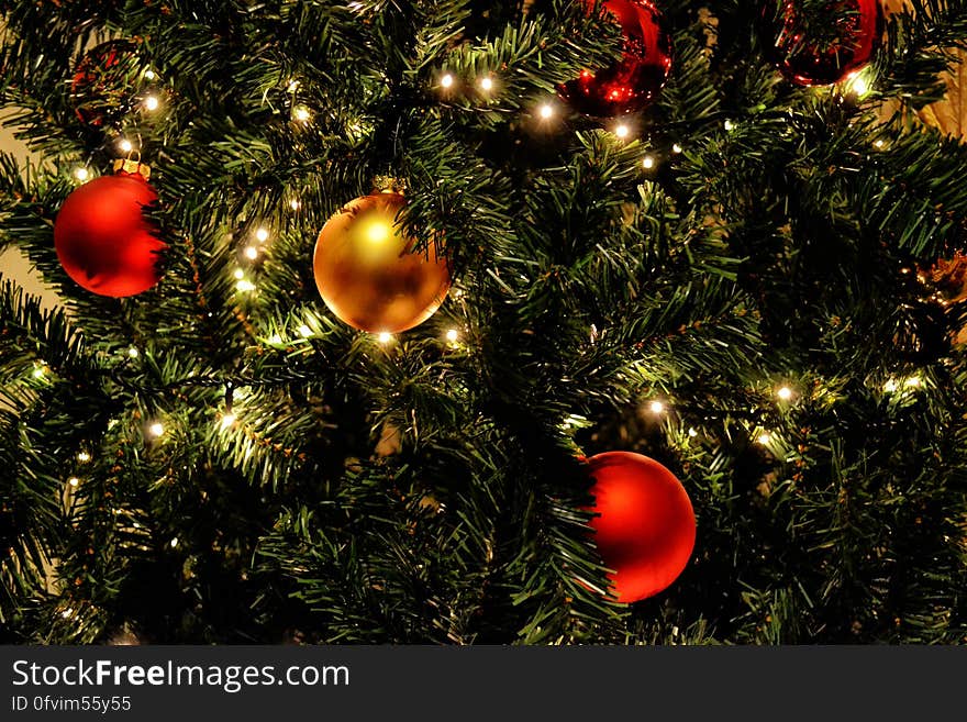 A Christmas tree with gold and red baubles.