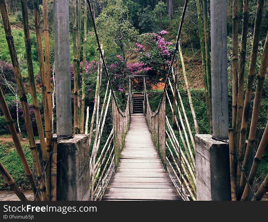 A wooden suspension bridge crossing a chasm in a jungle.