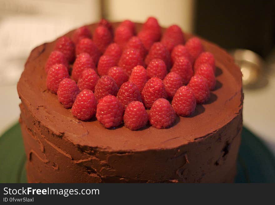 Barb&#x27;s Chocolate Raspberry Cake 15July06 - 1