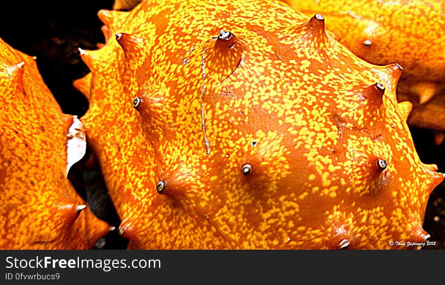 Cucumis metuliferus, or horned melon, seen at the grocery store. en.wikipedia.org/wiki/Cucumis_metuliferus