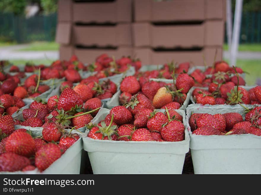 West End Farmers Market - 17Jun06 - 4