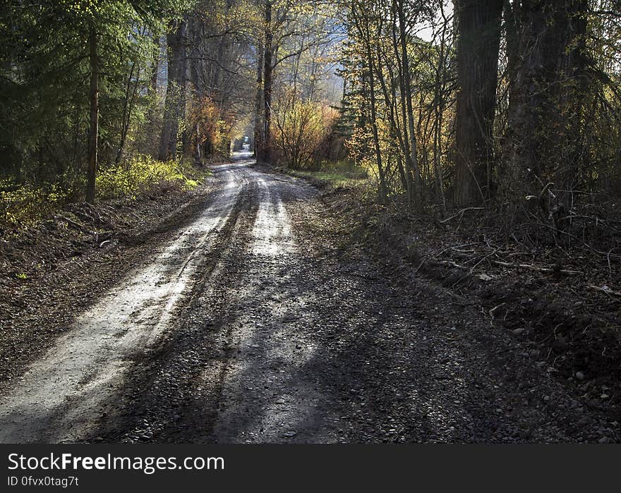 Landscape View of Roadway during Daytime