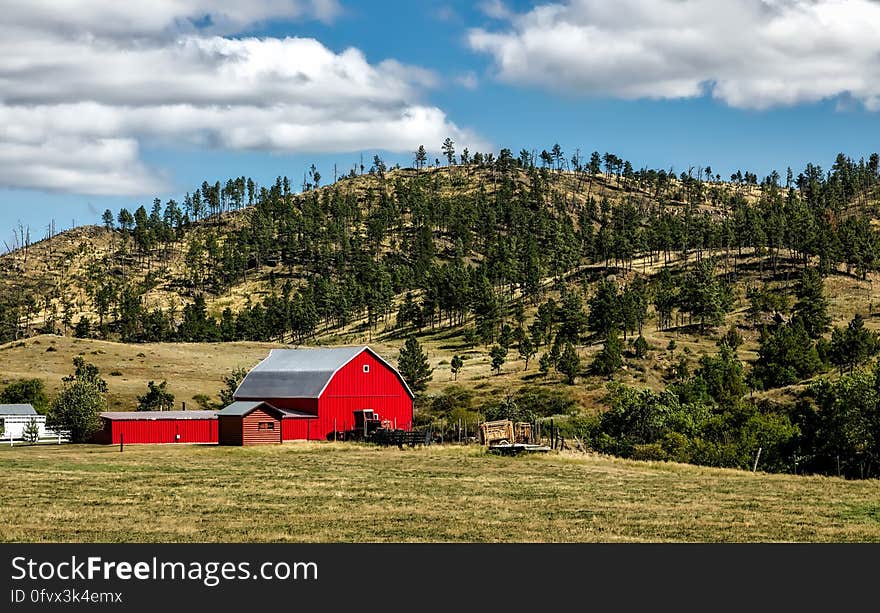 Red barn and farm buildings in grassland next to pine tree covered hillside against blue skies on sunny day. Red barn and farm buildings in grassland next to pine tree covered hillside against blue skies on sunny day.