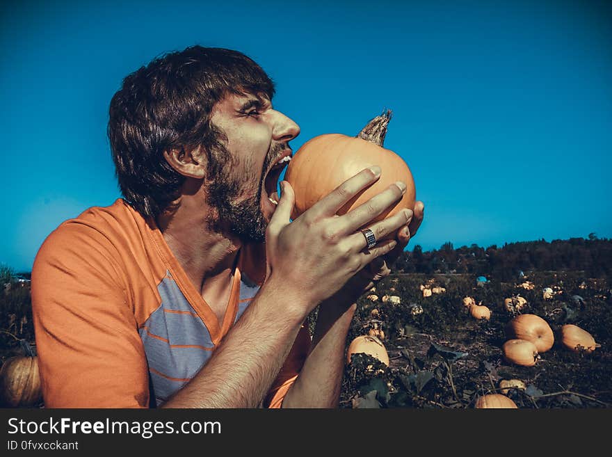 A portrait of a man biting a pumpkin in a field. A portrait of a man biting a pumpkin in a field.