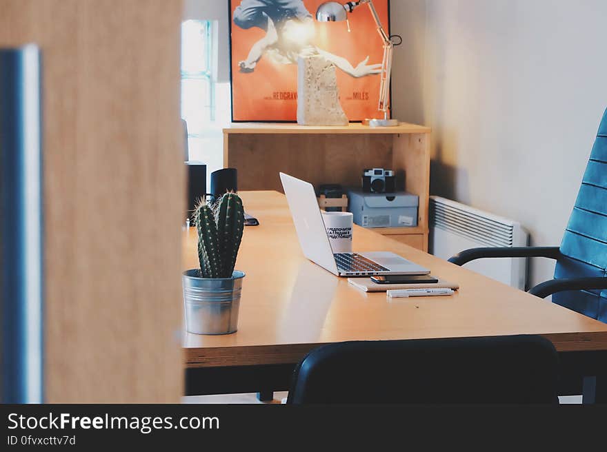 An office desk with a laptop, different office equipment, and a decorative cactus.