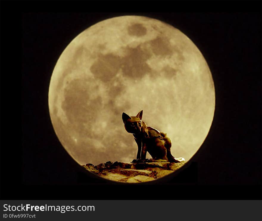 Statue of cat and rat on the rock with blurry full moon background. Statue of cat and rat on the rock with blurry full moon background.