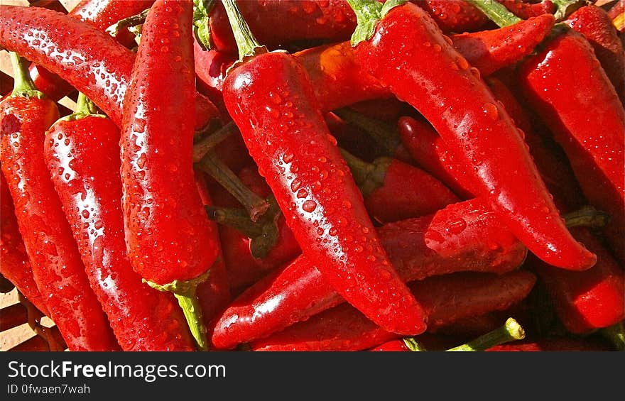 Red Chili