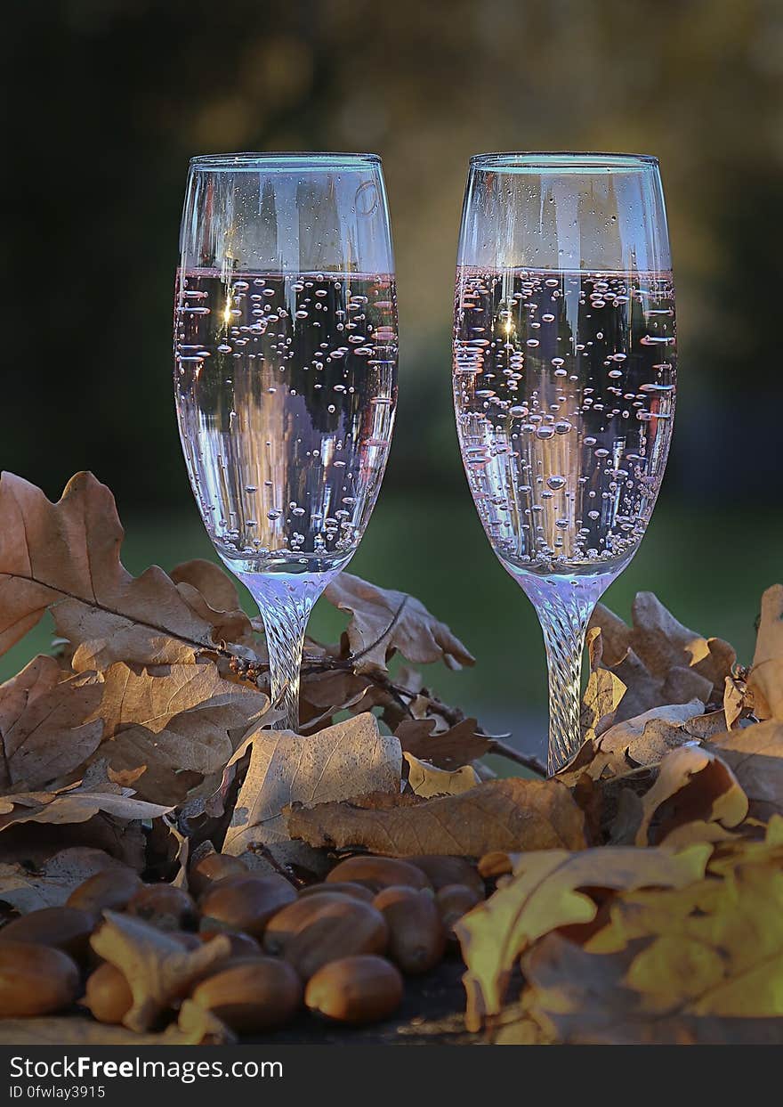 Two glasses of champagne in dry oak leaves. Two glasses of champagne in dry oak leaves.