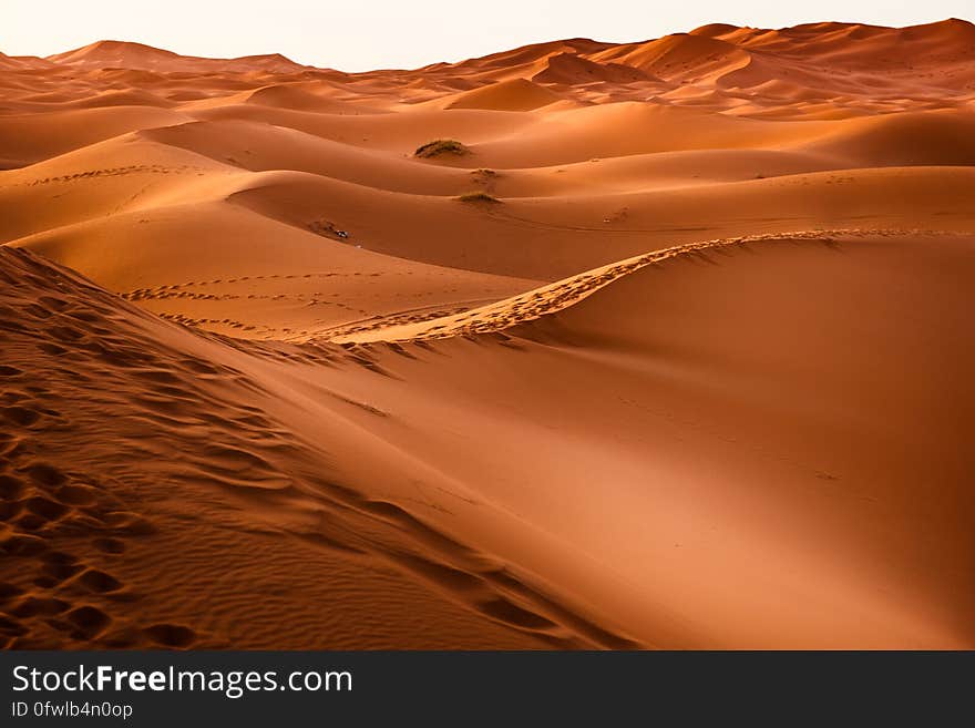 Golden sand dunes in Morocco on sunny day. Golden sand dunes in Morocco on sunny day.