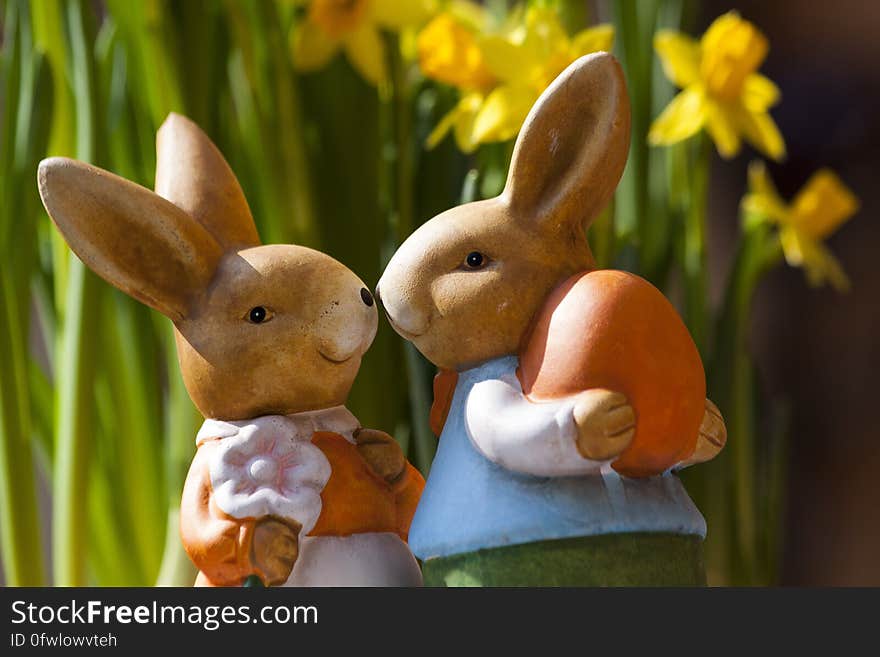 2 Brown Rabbits Smiling At Each Other