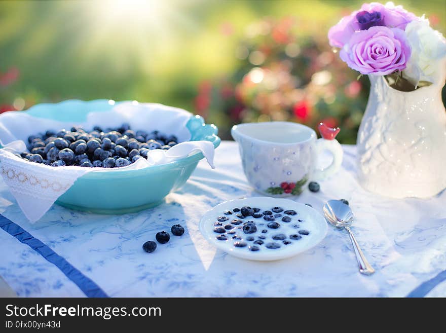 Bowl of Blue Berries on a Table in a Garden on a Sunny Day