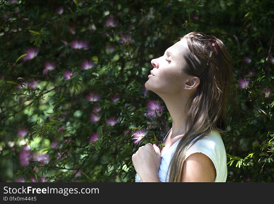 Profile portrait of pretty woman enjoying sunny garden in sunlight. Profile portrait of pretty woman enjoying sunny garden in sunlight.